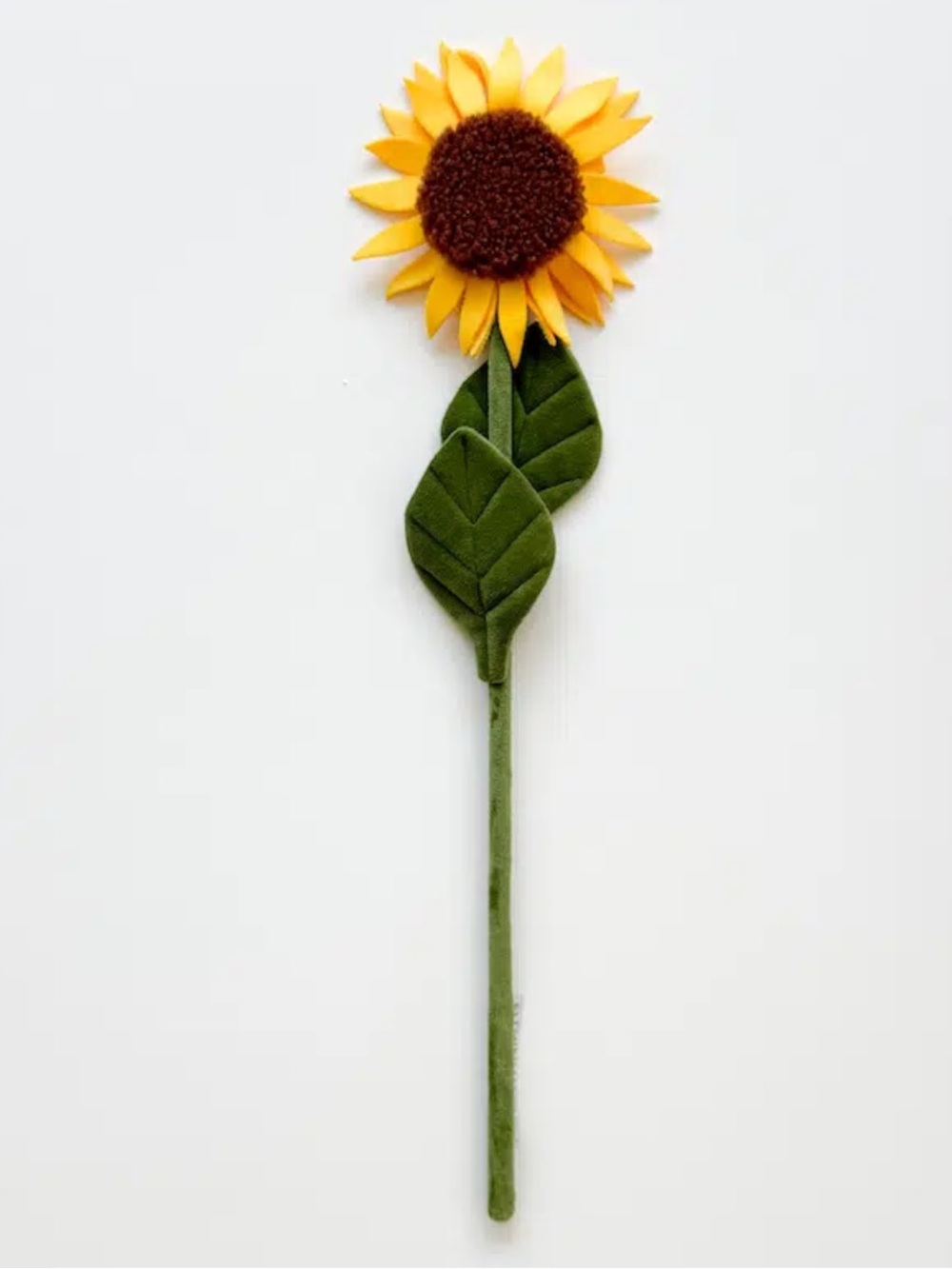 CJ Hendry Flower Market Sunflower